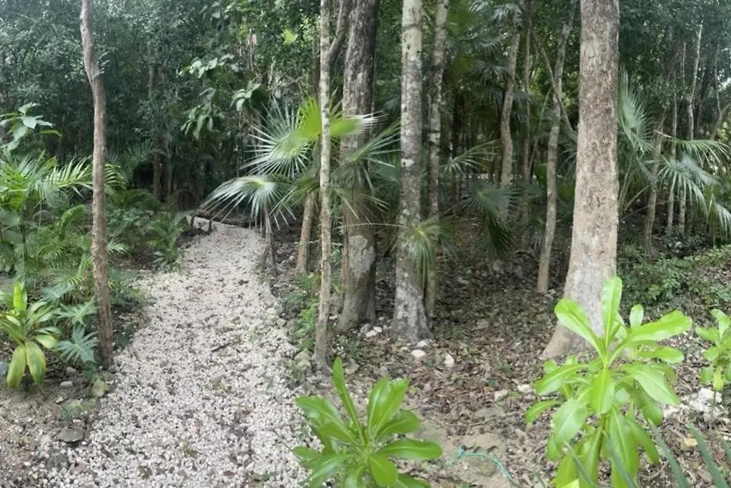 Appartamento Tribu 202 Tulum