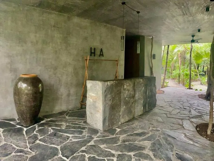 Tribu 202 Apartment Tulum 0*,  Mexico